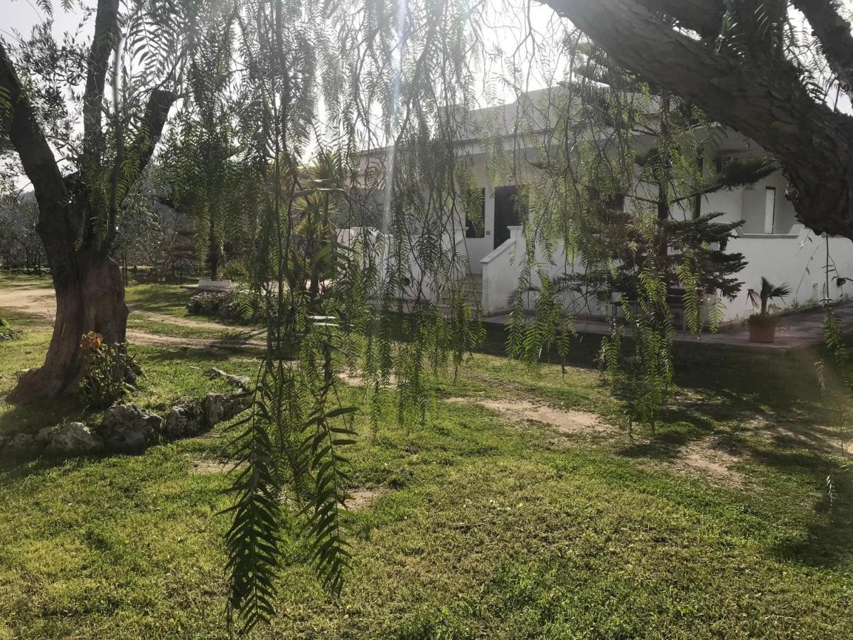 Villa Angela Case Vacanza Vieste Bagian luar foto