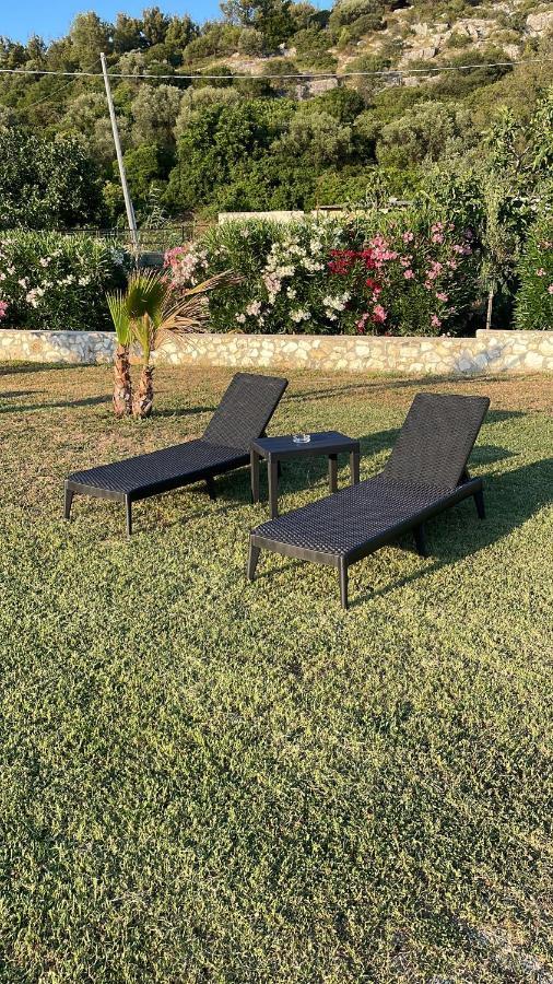 Villa Angela Case Vacanza Vieste Bagian luar foto