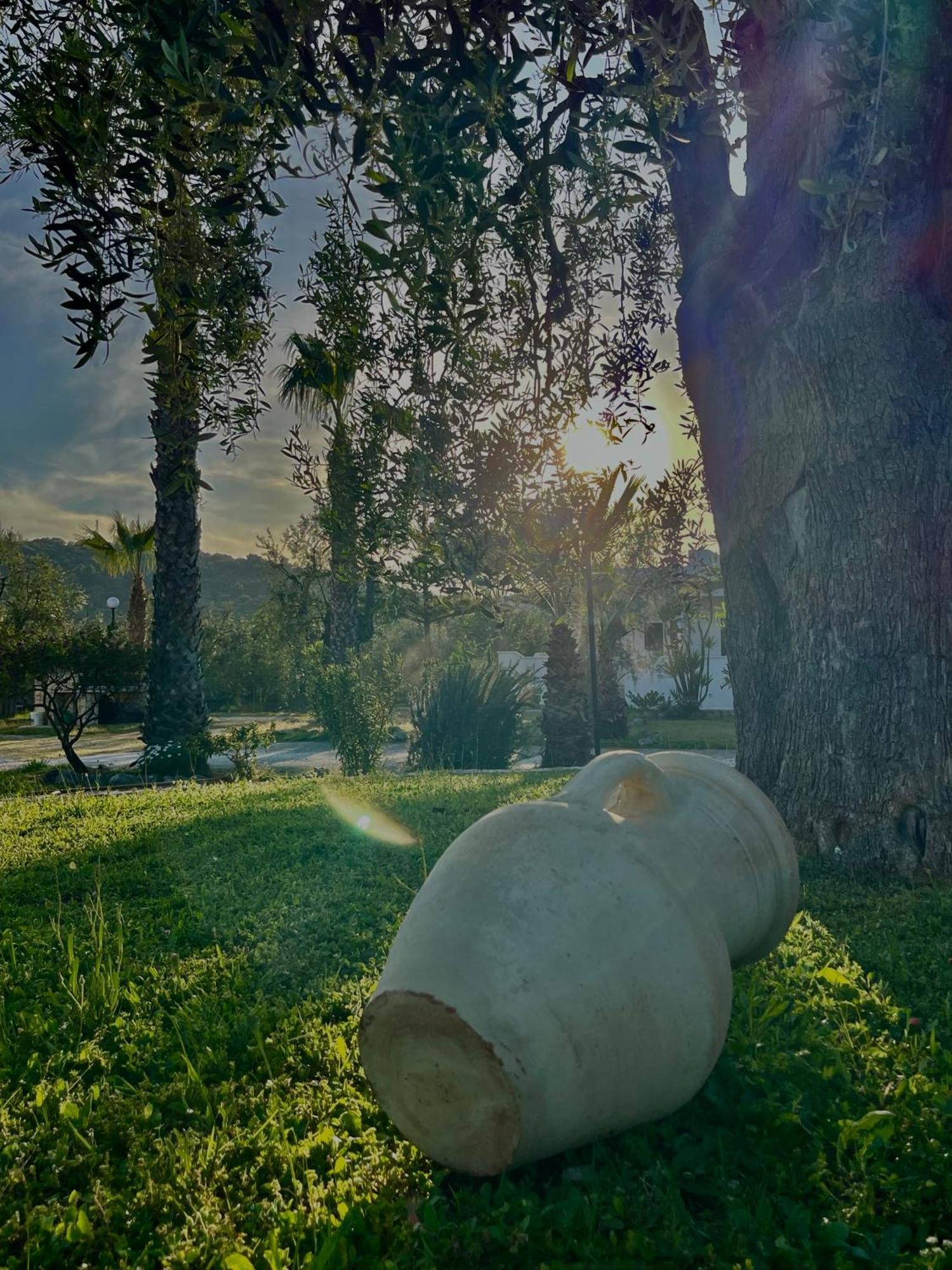 Villa Angela Case Vacanza Vieste Bagian luar foto
